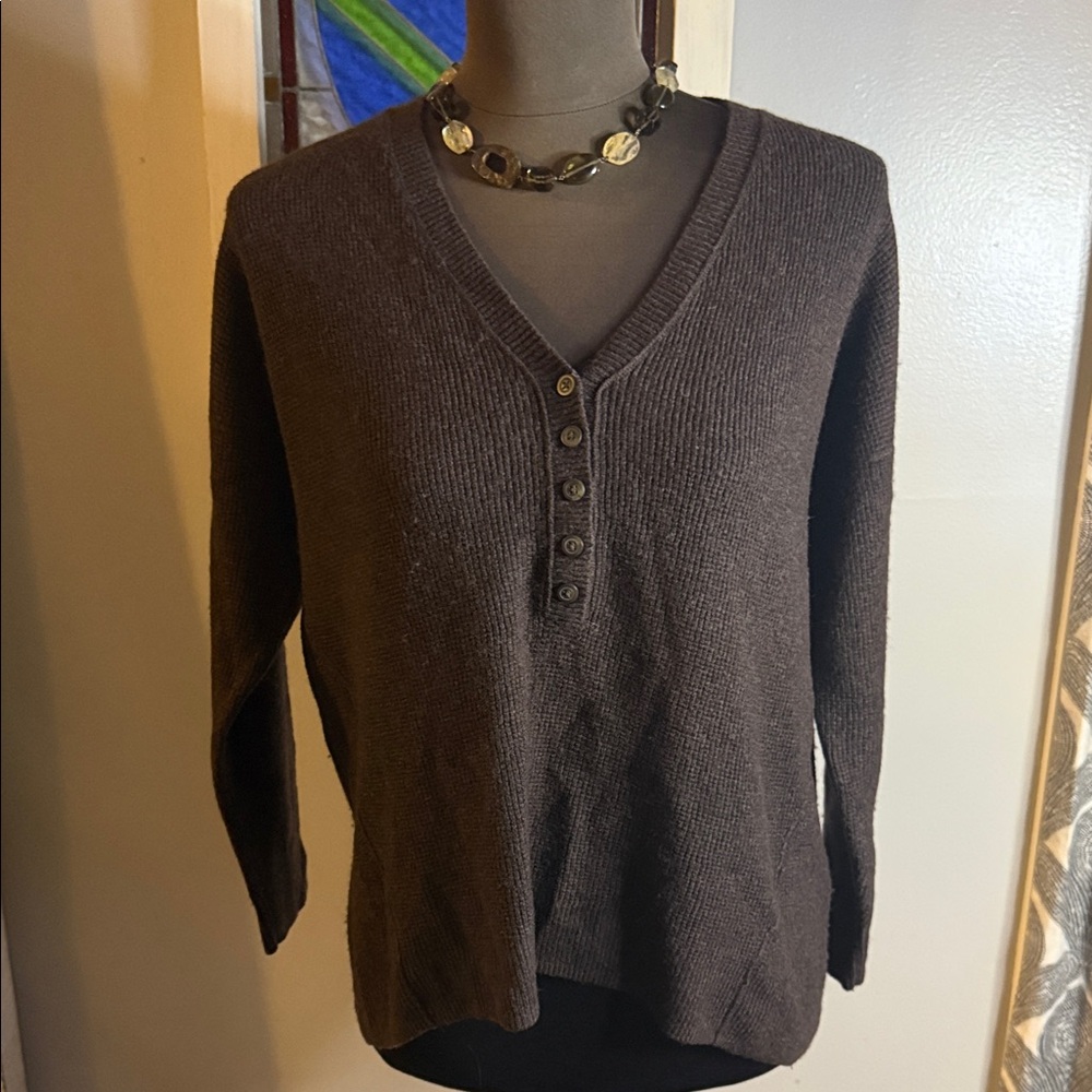Madewell Brown V-Neck Sweater